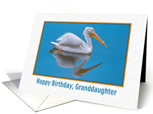 Birthday, Granddaughter, White Pelican card (806769)