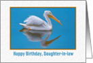 Birthday, Daughter-in-law, White Pelican card