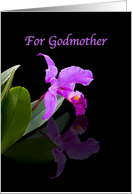 Birthday, Godmother, Orchid on Black card