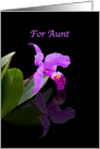Birthday, Aunt, Orchid on Black card
