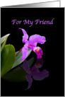 Birthday, Friend, Orchid on Black card