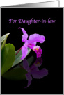 Birthday, Daughter-in-law, Orchid on Black card