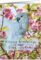 Birthday, Step Mother, White Parrot card