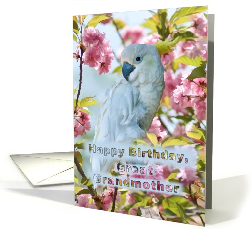 Birthday, Great Grandmother, White Parrot card (811075)
