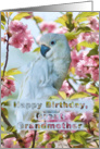 Birthday, Great Grandmother, White Parrot card