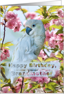 Birthday, Grandmother, White Parrot card