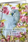 Birthday, Niece, White Parrot card
