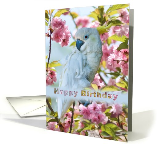 Birthday, White Parrot, Flowering Tree card (811080)