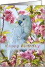 Birthday, White Parrot, Flowering Tree card