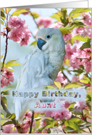 Birthday, Aunt, White Parrot card