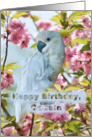 Birthday, Cousin, White Parrot card