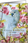 Birthday, Pastor, White Parrot card