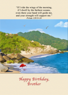 Birthday, Brother,...