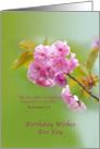 Birthday, Cherry Blossoms, Religious card