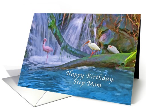 Birthday, Step Mom, Tropical Waterfall, Flamingos, Ibises card