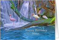 Birthday, Sister, Tropical Waterfall, Flamingos, Ibises card