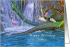 Birthday, Sister, Tropical Waterfall, Flamingos, Ibises card
