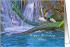 Birthday, Niece, Tropical Waterfall, Flamingos, Ibises card