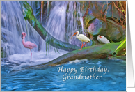 Birthday, Grandmother, Tropical Waterfall, Flamingos, Ibises card