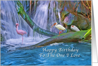 Birthday, Lover, Tropical Waterfall, Flamingos, Ibises card