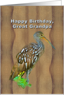 Birthday, Great Grandpa, Limpkin Marsh Bird card