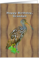 Birthday, Grandpa, Limpkin Marsh Bird card