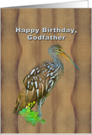 Birthday, Godfather, Limpkin Marsh Bird card