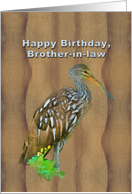 Birthday, Brother-in-law, Limpkin Marsh Bird card