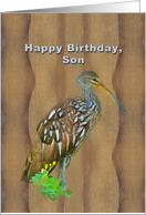 Birthday, Son,...