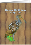 Birthday, Step Dad, Limpkin Marsh Bird card