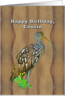 Birthday, Cousin, Limpkin Marsh Bird card