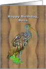 Birthday, Boss, Limpkin Marsh Bird card