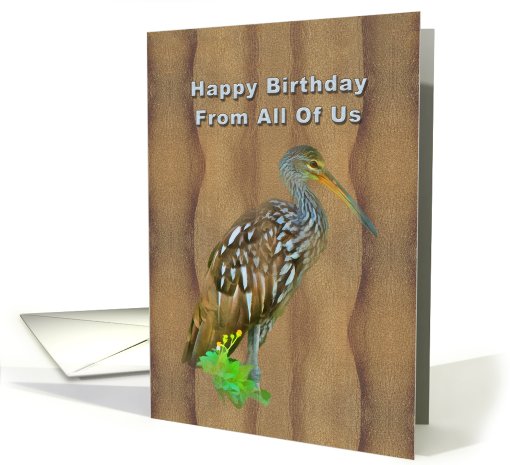 Birthday, From All of Us, Limpkin Marsh Bird card (828255)