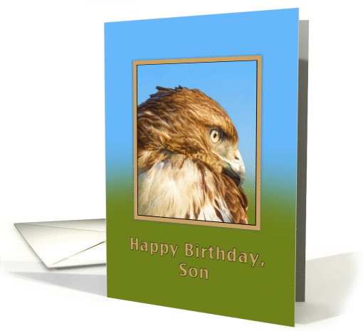 Birthday, Son, Rough-legged Hawk Bird card (849347)