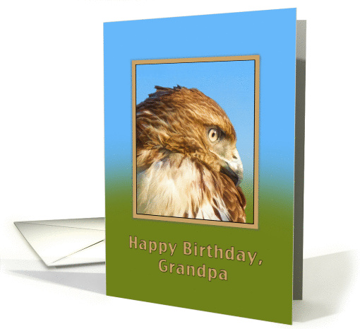 Birthday, Grandpa, Rough-legged Hawk Bird card (849349)