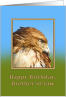 Birthday, Brother-in-law, Rough-legged Hawk Bird card