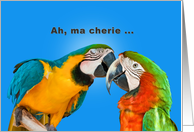 Love and Romance, Parrots, Humor card