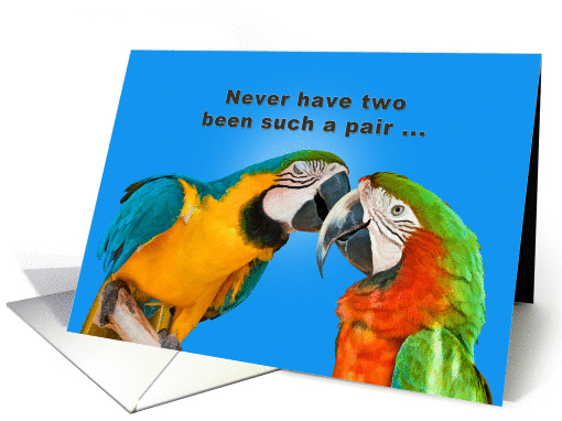 Anniversary for Couple, Two Parrots, Humor card (850761)