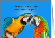 Anniversary for Couple, Two Parrots, Humor card