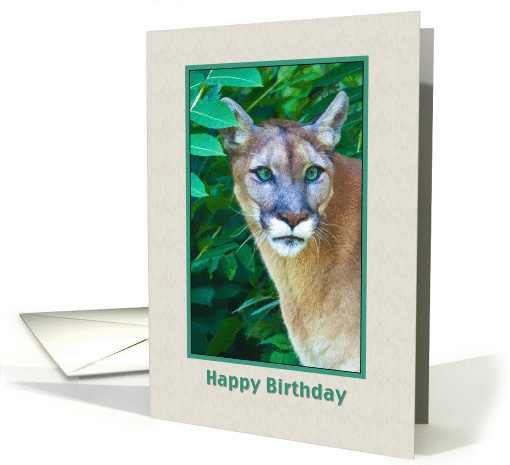 Birthday Wishes, Cougar in the Jungle card (855052)