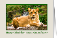 Birthday, Great Grandfather, Lion on a Rock card