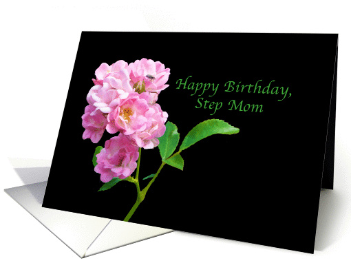 Birthday, Step Mom, Pink Garden Roses on Black card (856865)