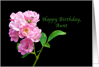 Birthday, Aunt, Pink Garden Roses on Black card