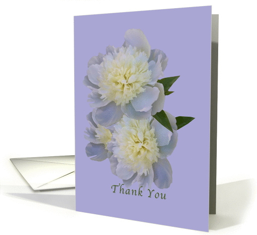 Thank You, White Peonies on Lavender card (861190)