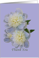 Thank You, White Peonies on Lavender card