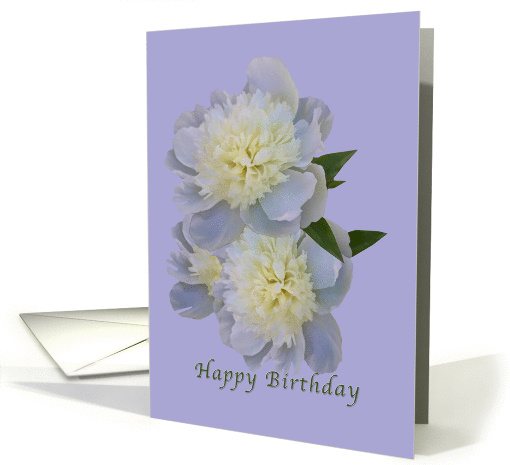 Birthday, White Peonies on Lavender card (861193)