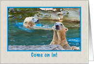 Invitation, Pool Party, Swimming Polar Bears card