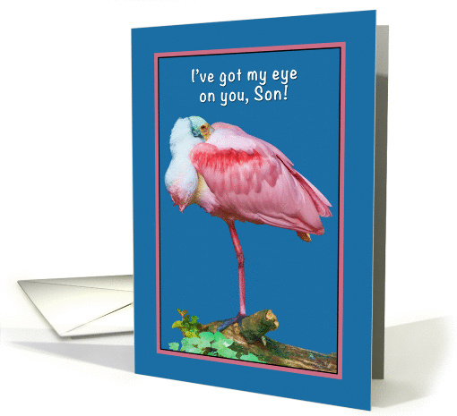 Birthday, Son, Roseate Spoonbill Bird, Humor card (867999)
