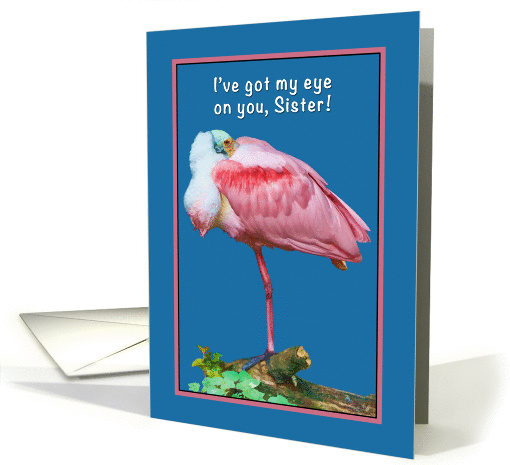 Birthday, Sister, Roseate Spoonbill Bird, Humor card (868003)