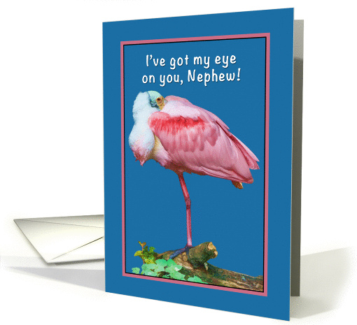 Birthday, Nephew, Roseate Spoonbill Bird, Humor card (868004)